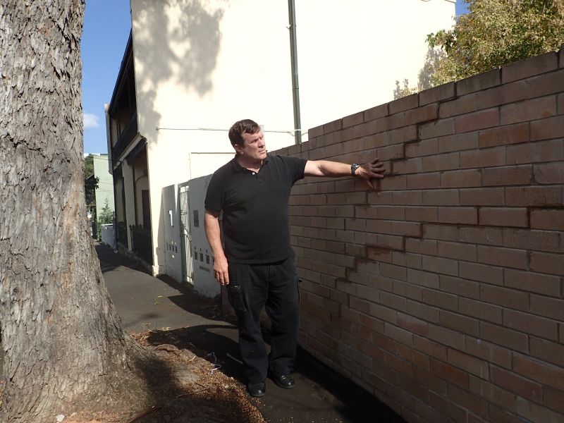 Expert Witness inspects wall cracked by Tree